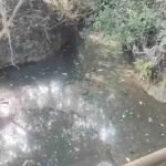 Despliega PC vigilancia ambiental en afluente