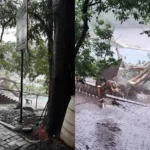Tragedia en Apazapan: árbol mata a bañista en balneario de Carrizal