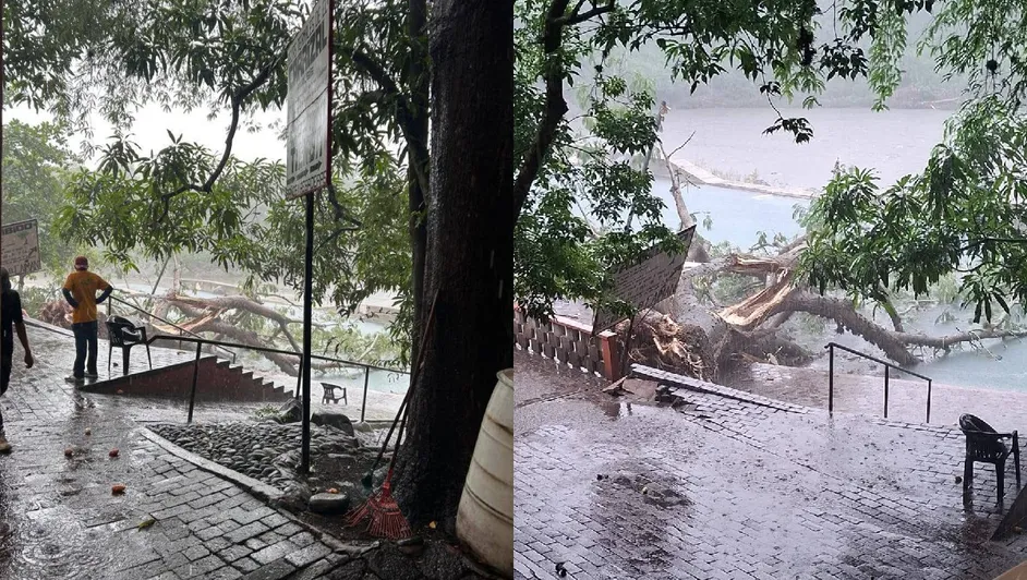 Tragedia en Apazapan: árbol mata a bañista en balneario de Carrizal