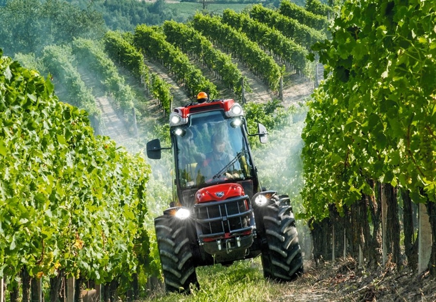 Revisión del T-MEC podría influir en las decisiones de INVERSIÓN y en el comercio AGROALIMENTARIO