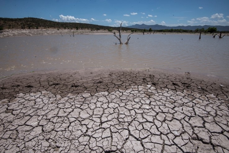 10 ENTIDADES presentan alta exposición ECONÓMICA al fenómeno climático «EL NIÑO»